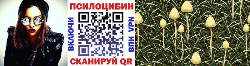 kraken маркетплейс Верхоянск Галлюциногенные грибы мухоморы где купить